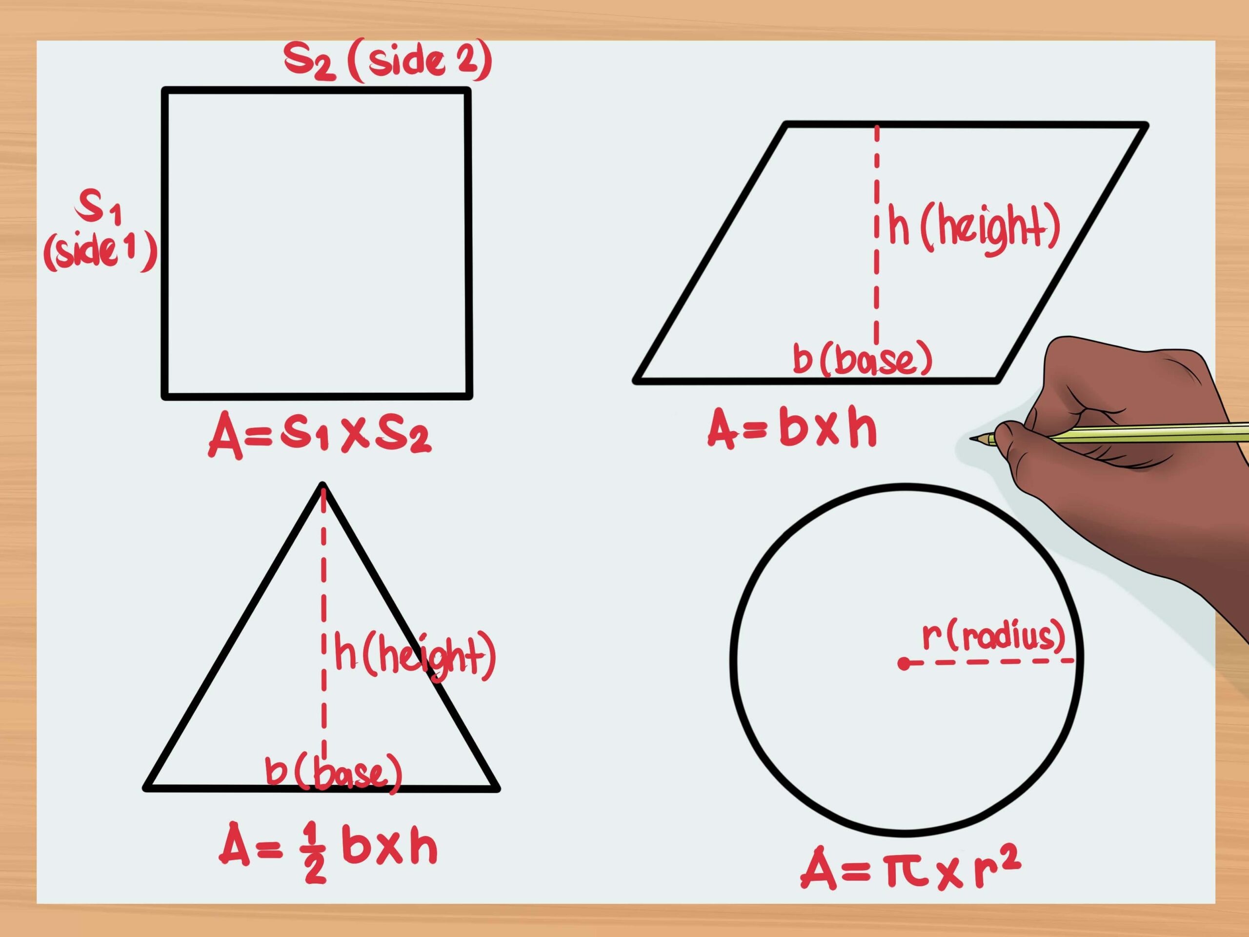 Calcular Area